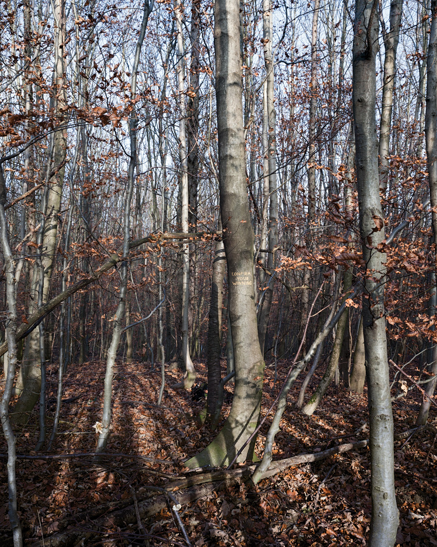 confirm-your-winning_hop