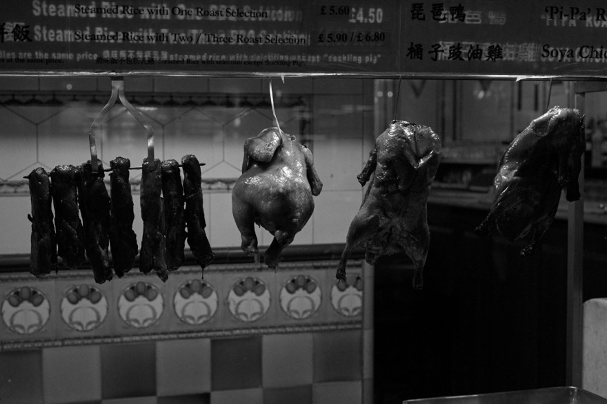 mind_09_birds_3045_300