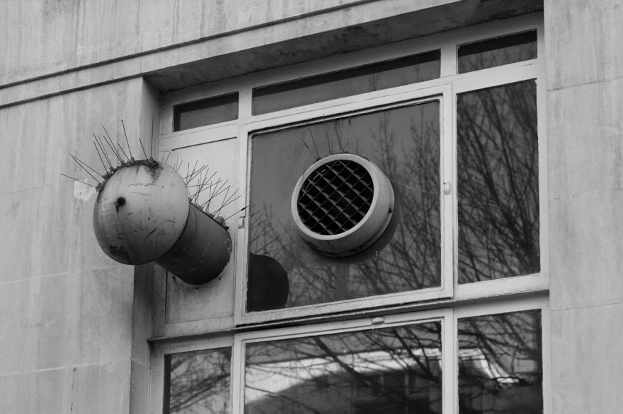 mind_10_attachment_3045_300