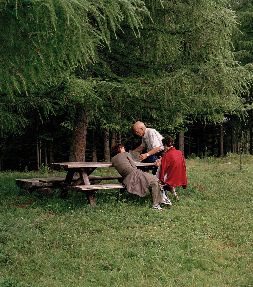 6x6 cows and family 003